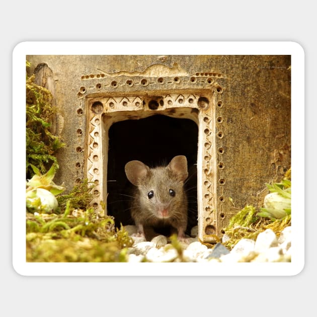 George the mouse in a log pile house Sticker by Simon-dell